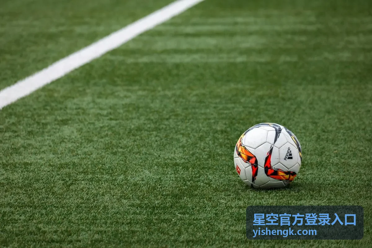 星空官方登录入口电脑端与手机端进入步骤示意