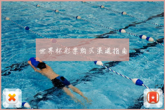 世界杯彩票购买渠道指南