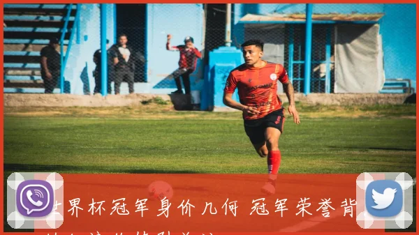 世界杯冠军身价几何 冠军荣誉背后的经济价值引关注